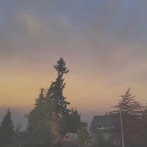 美女露胸白分之百无遮挡
